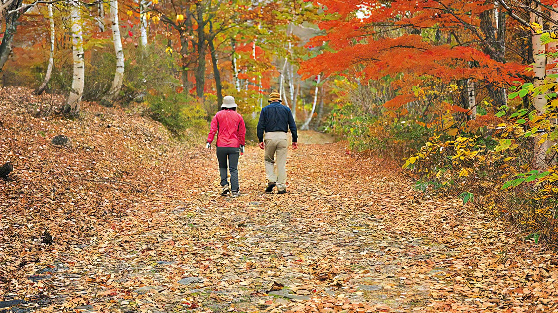 ハイキング 里山散歩