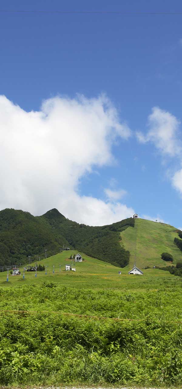 自然豊かな越後湯沢 春夏秋の観光・レジャー